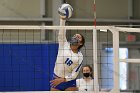 Volleyball vs RWU  Wheaton Women’s Volleyball vs Roger Williams University. : Volleyball, VB